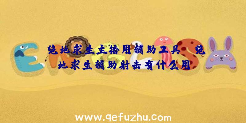 「绝地求生主播用辅助工具」|绝地求生辅助射击有什么用